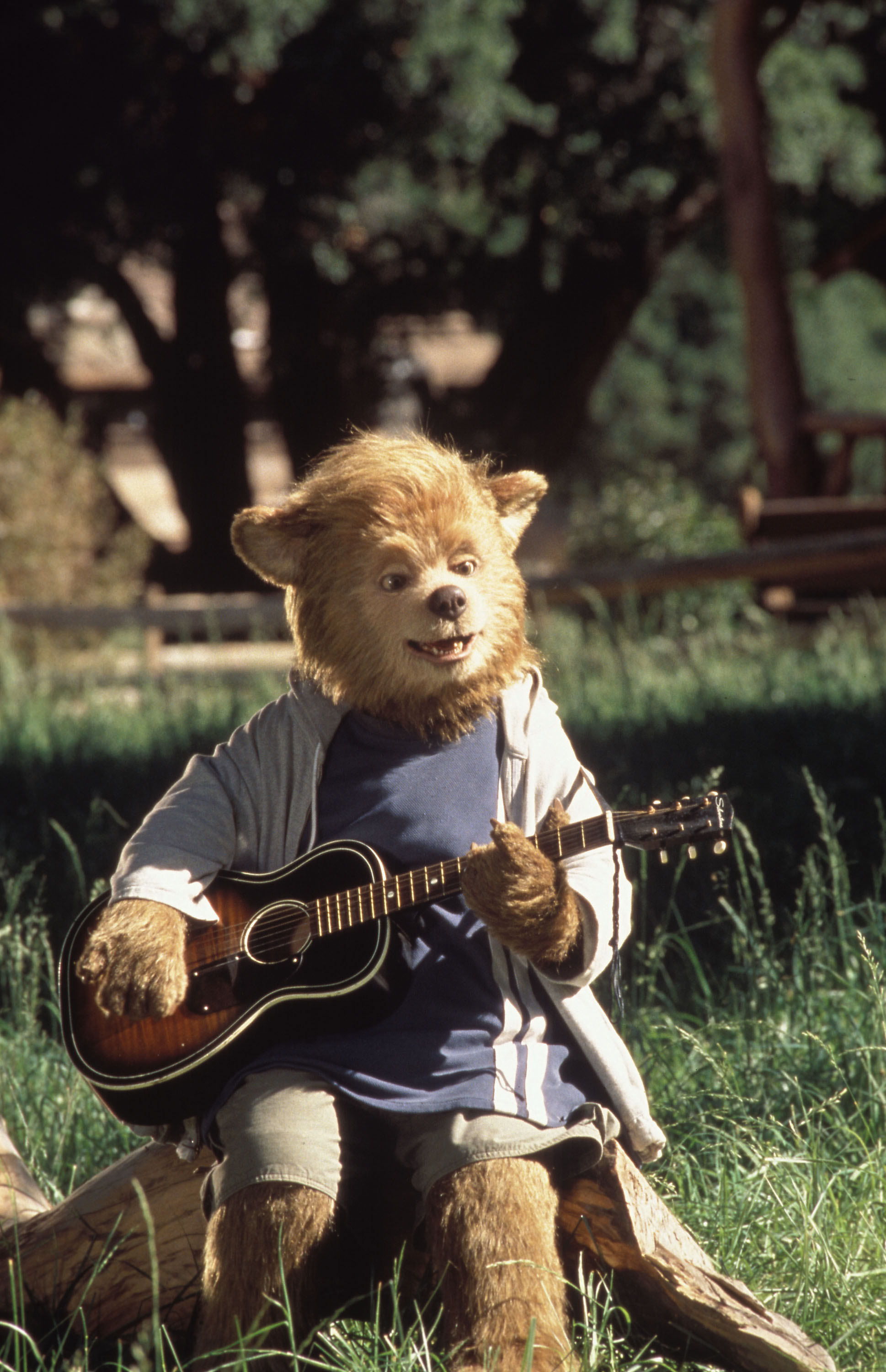 Country bears. Деревенские медведи (2002). Мишка деревенский. Страна Bear Country.