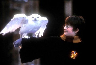 Majdnem egy Oscar-jelölt színész lett Harry Potter