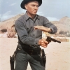 Yul Brynner profilképe