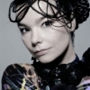 Björk profilképe