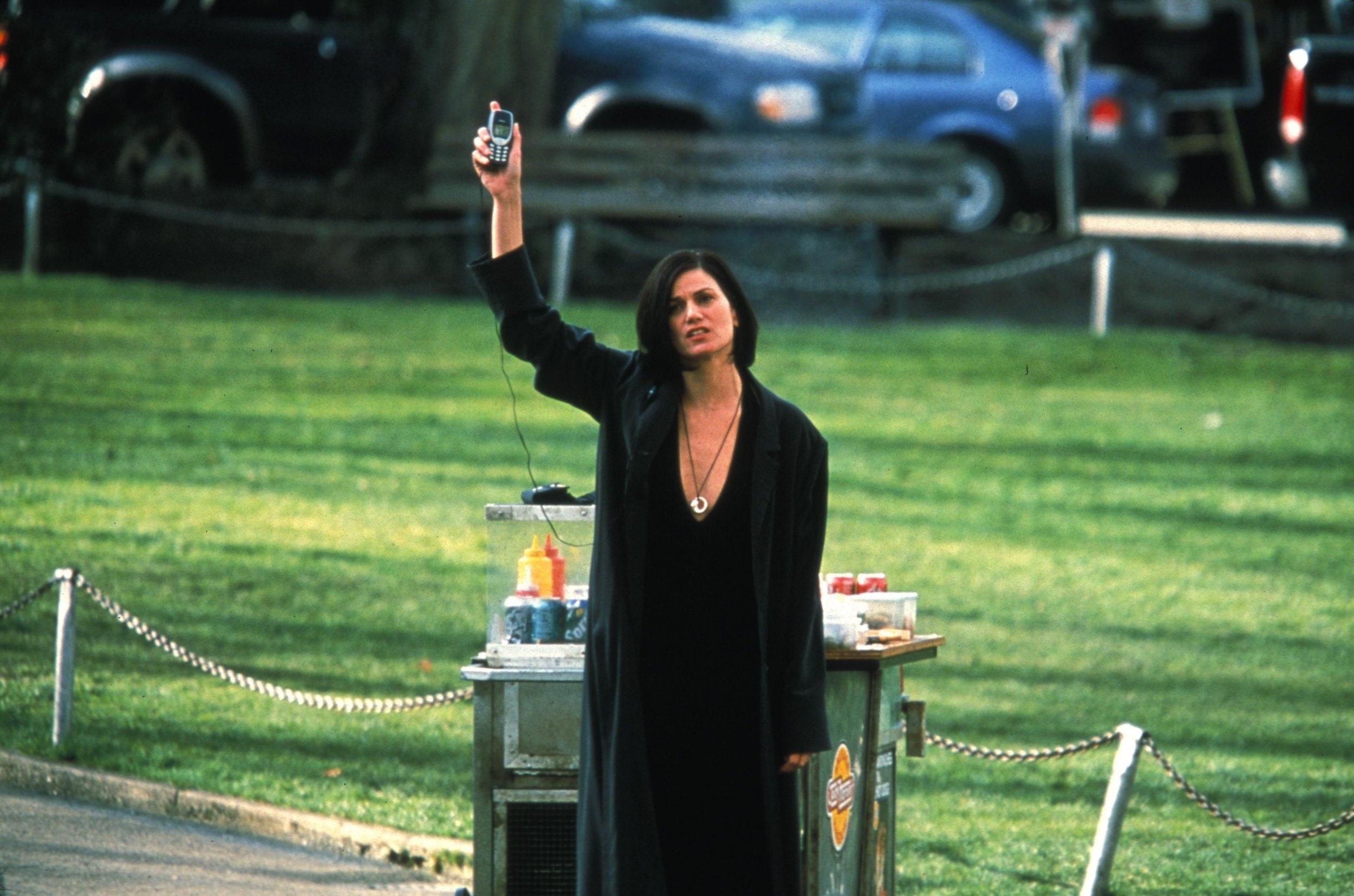 Linda Fiorentino