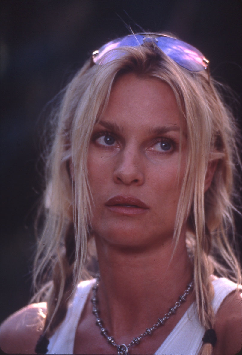 Nicollette Sheridan