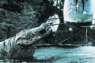 A kedves, idős Betty White a férjét dobja a krokodilok elé