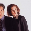 David Duchovny profilképe
