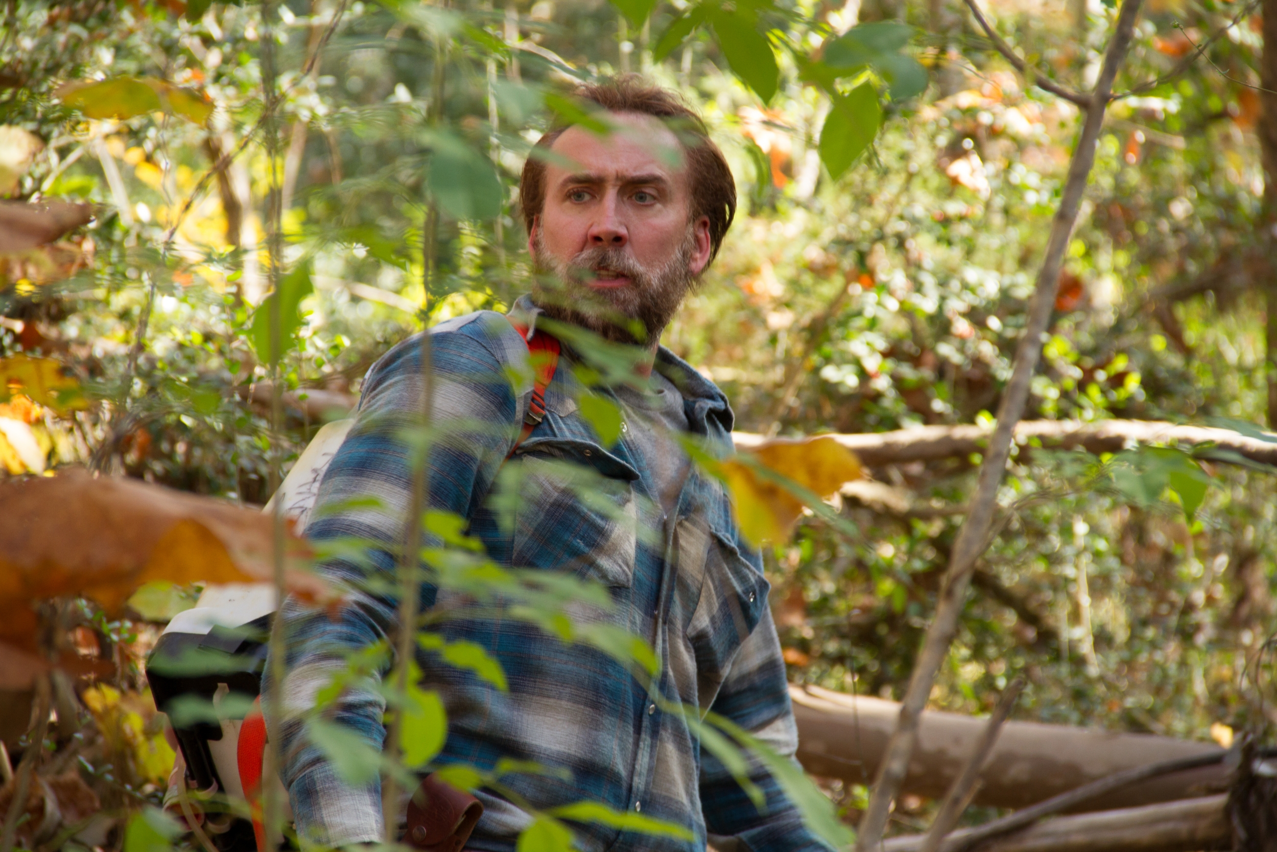 Joe Rosing Actor Joe