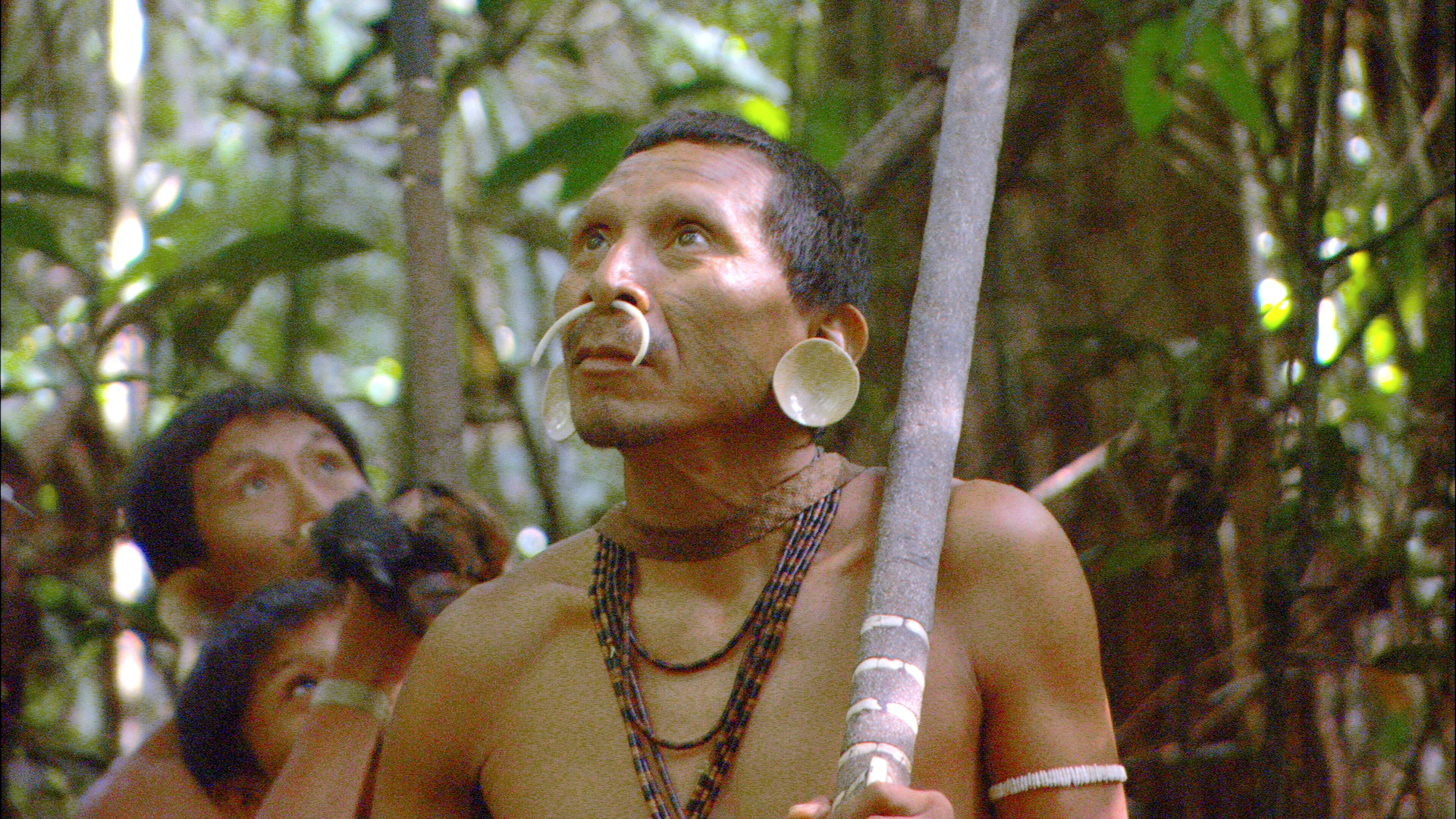 Индейцы джунглей. Жители джунглей амазонки. Затерянные племена в джунглях. Индейцы в джунглях.