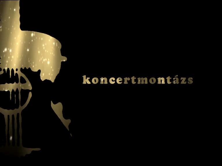 Koncertmontázs