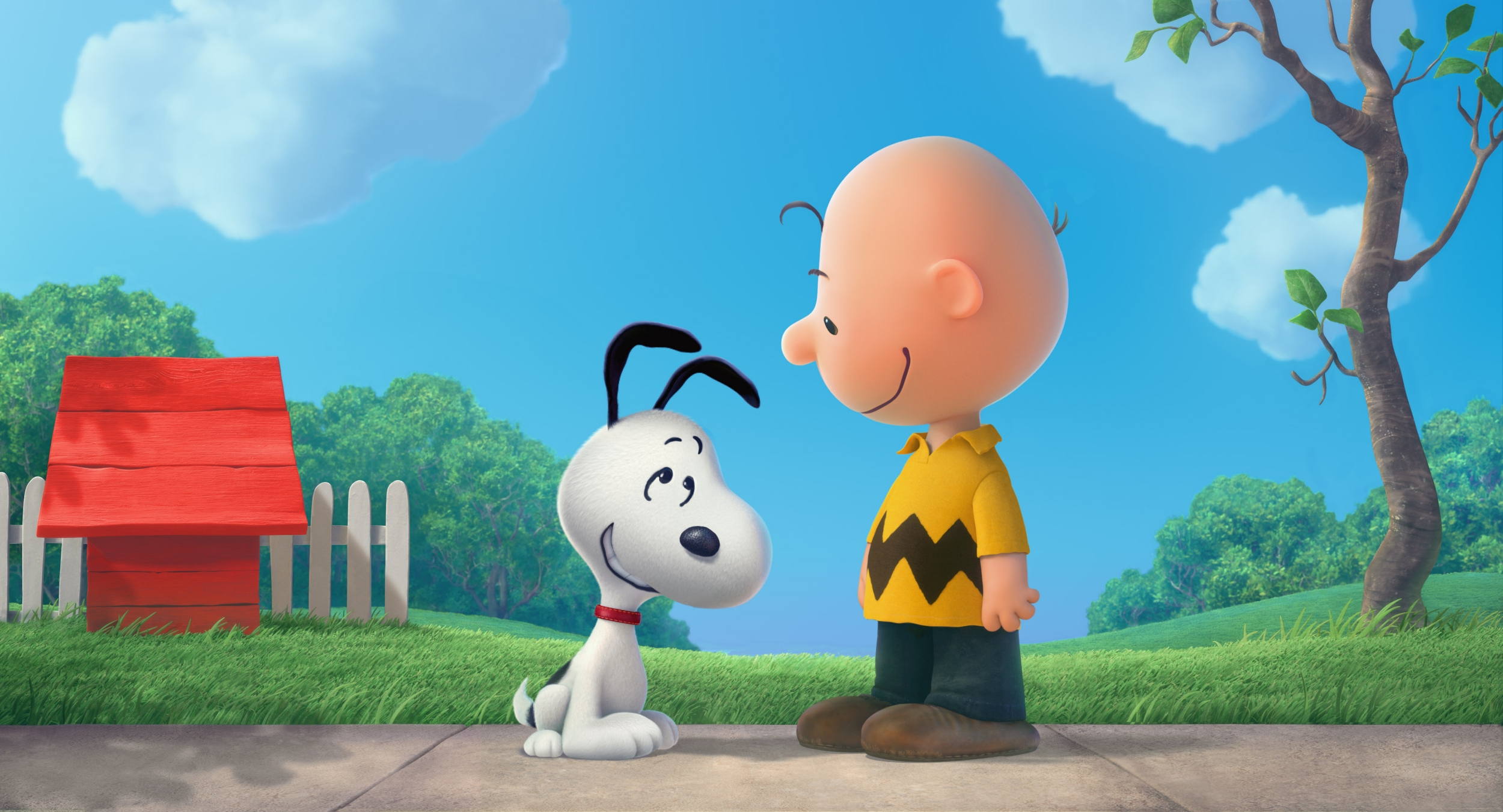 Snoopy s Charlie Brown A Peanuts Film snoopy-s-charlie-brown-a-peanuts-film