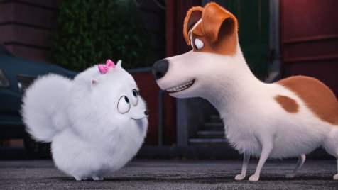 Ez volt minden idők legsikeresebb kutyás filmje