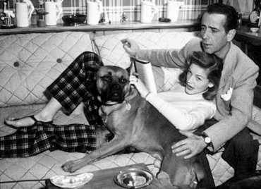 9 dolog, amit nem tudtál a 118 éve született Humphrey Bogartról