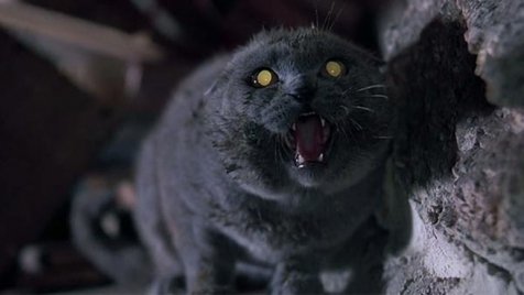 A Terminátor-sztár a Kedvencek temetője-remake-ben is benne lehet