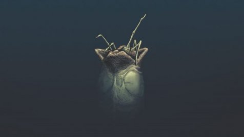 Képregény készül az Alien 3 egyik kidobott forgatókönyvéből
