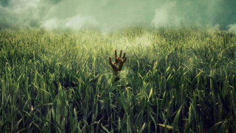 Nem várt fordulat: újabb Stephen King-könyvből készül film!
