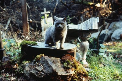 Exhumáljuk magunkat! – Rangsoroltuk a Kedvencek temetője-szériát