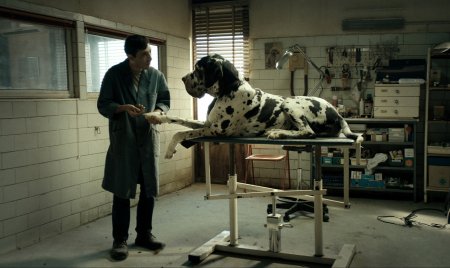 Dogman - Kutyák királya - Miért ilyen sanyarúak az olasz filmek?
