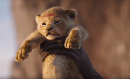 A dühös twitterezők Simba szerelmét követelik