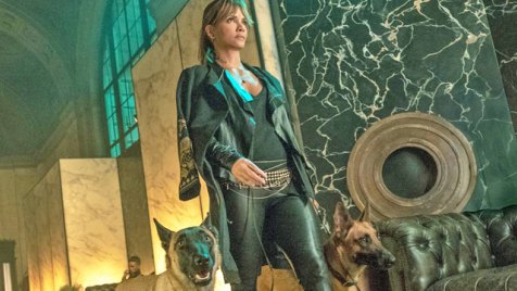 Halle Berry akkora John Wick-rajongó, hogy kikövetelt magának egy szerepet a 3. részben