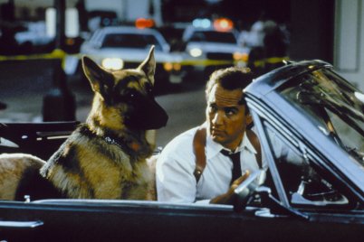 Ezért volt igazi zseni a Jerry Lee-t alakító kutyaszínész