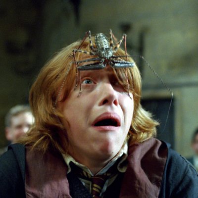 Harry Potter és a Tűz Serlege