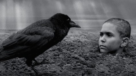 Festett madár – Jó és rossz értelemben is sokkoló