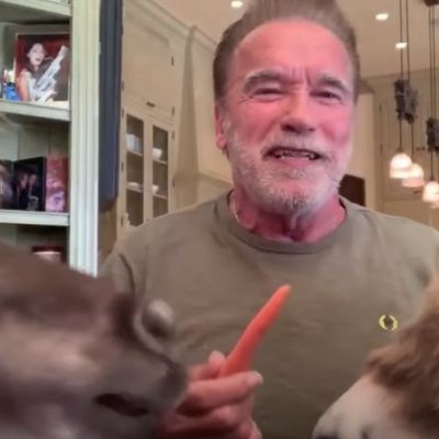Schwarzenegger a mémmé vált állataival együtt adott videóinterjút Jimmy Kimmel show-jában
