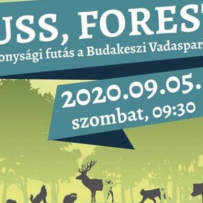 Fuss, Forest! – Jótékonysági terepfutóverseny