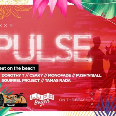 Pulse Meet On The Beach