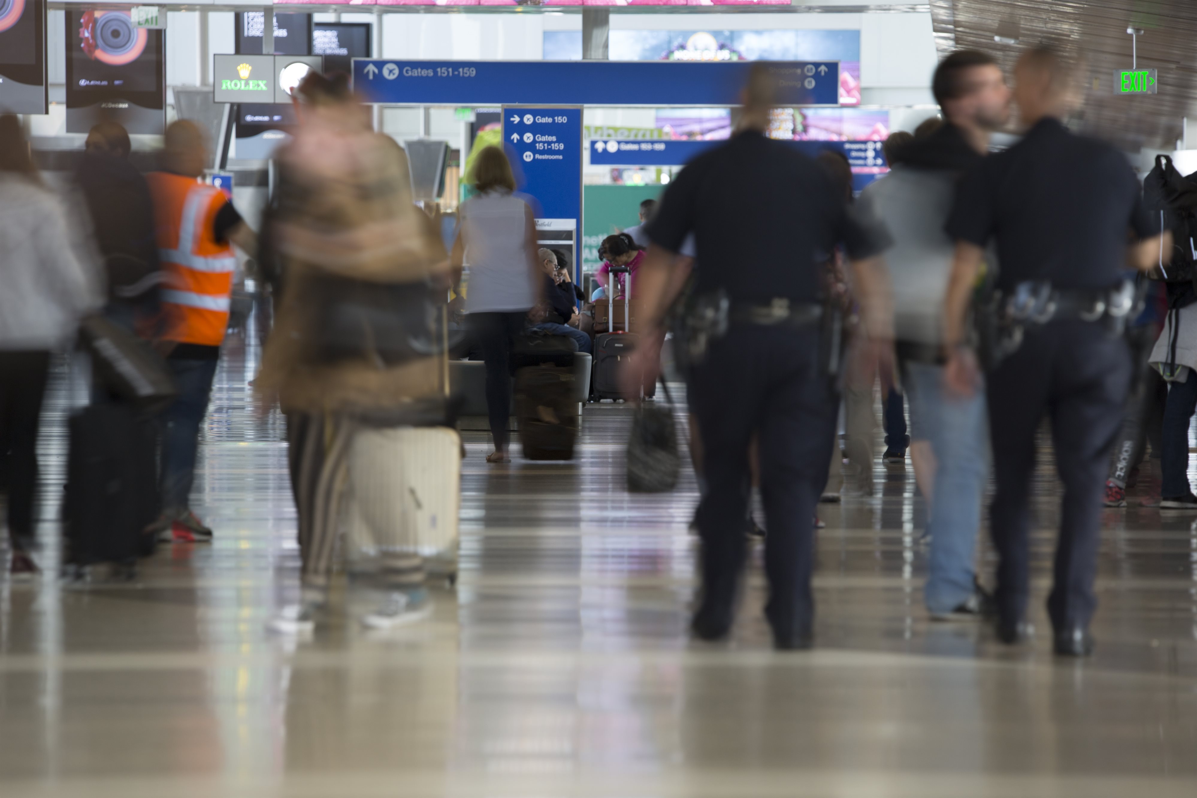 Drogfogások a repülőtéren || Az ukrán küldemény