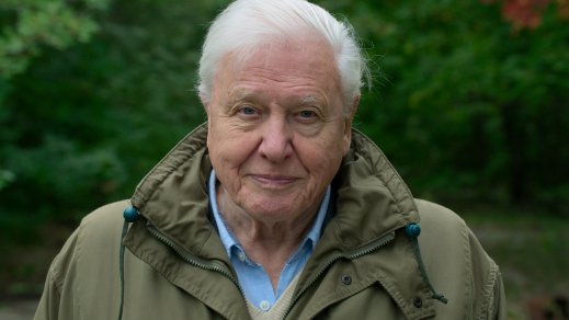 Alaposan megünneplik David Attenborough 100. születésnapját