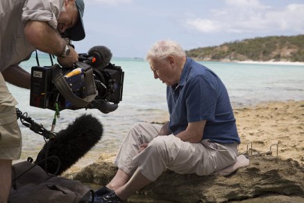 A 100 éves David Attenborough legszebb spontán pillanatai - GALÉRIA
