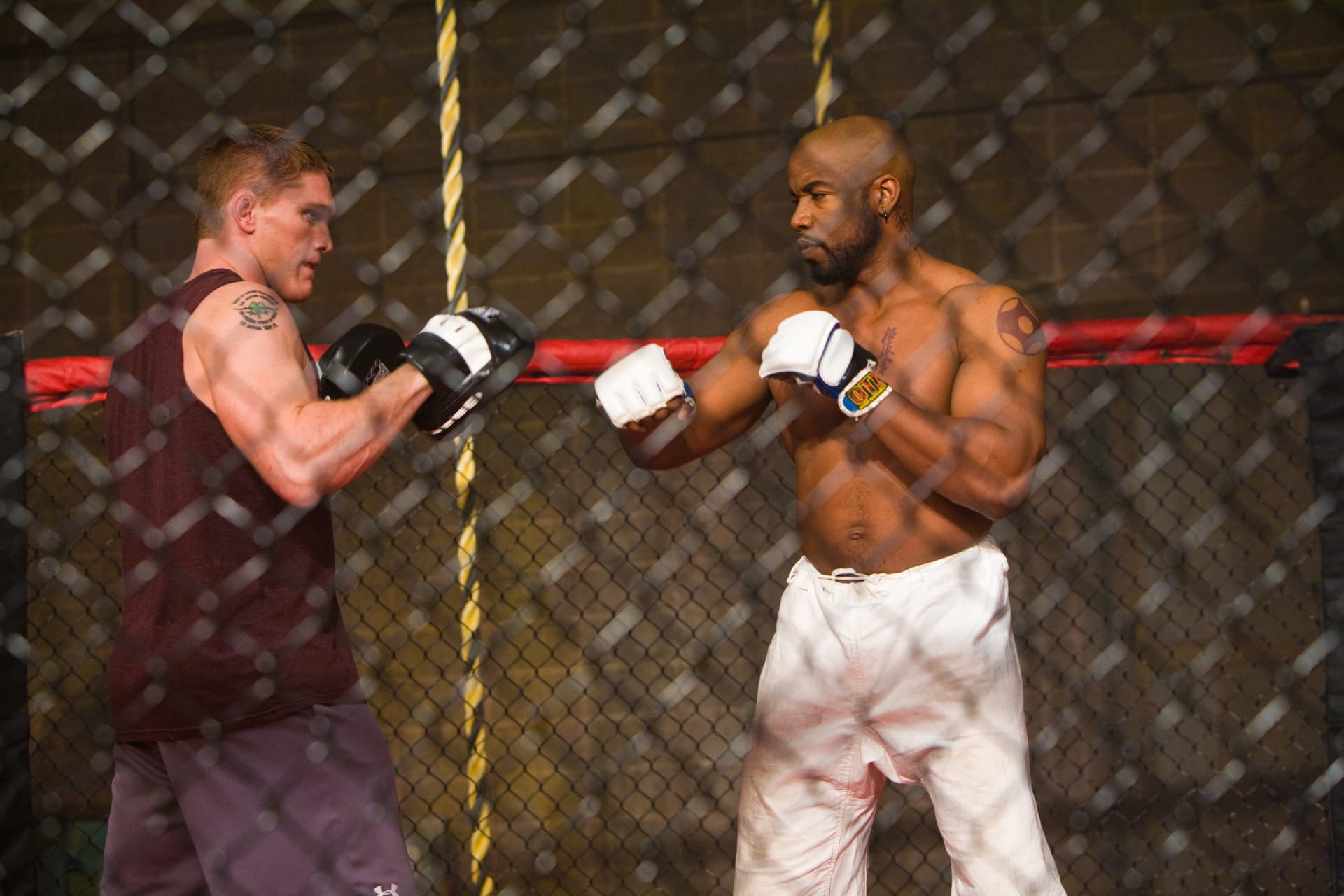 Never back down игра.
