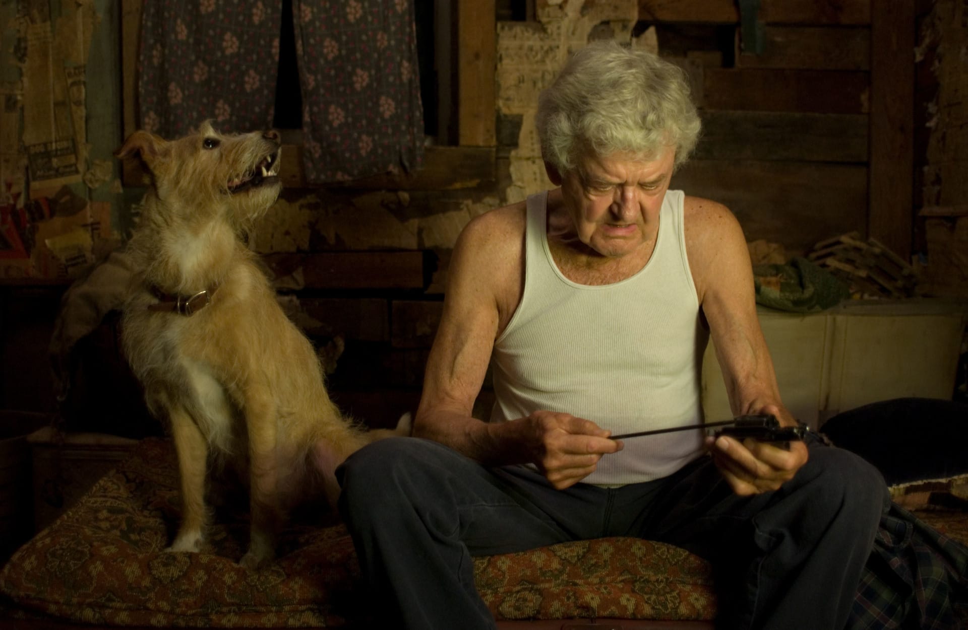 That evening. хэл холбрук в молодости. That evening. это вечернее солнце (2009. грамматика паст континиус.