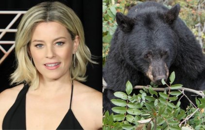 Kokainozó medvéről forgatna Elizabeth Banks – felrobbant az internet!