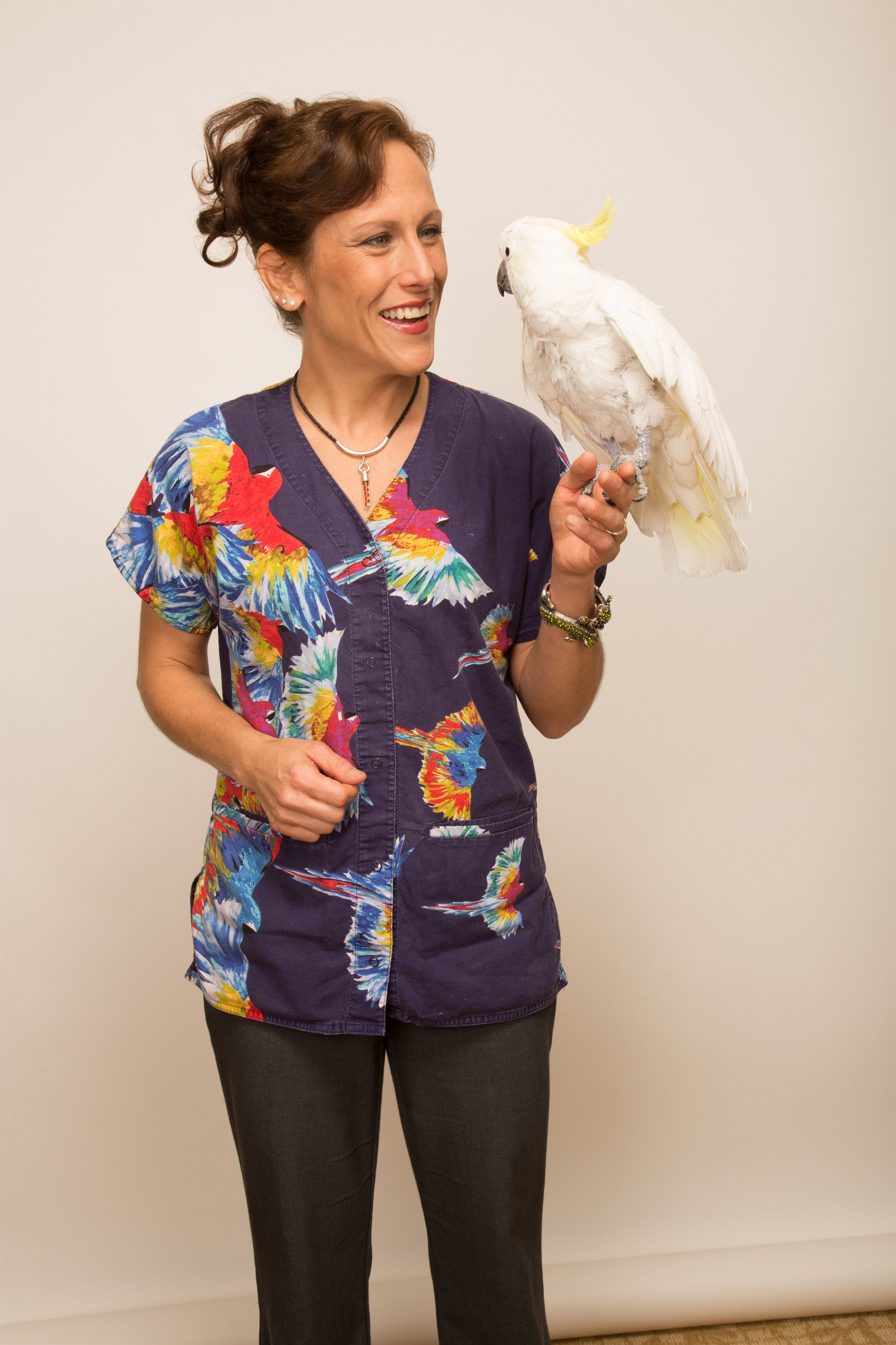 Dr. Kelleher egzotikus állatklinikája / Meghűlt farksodró