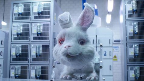 Taika Waititi kisfilmmel szólal fel az állatkísérletek ellen