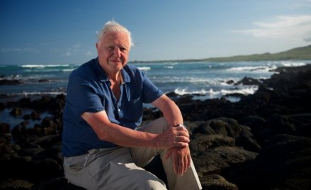 Különleges természetfilmekkel ünnepelhetjük David Attenborough 100. születésnapját a tévében