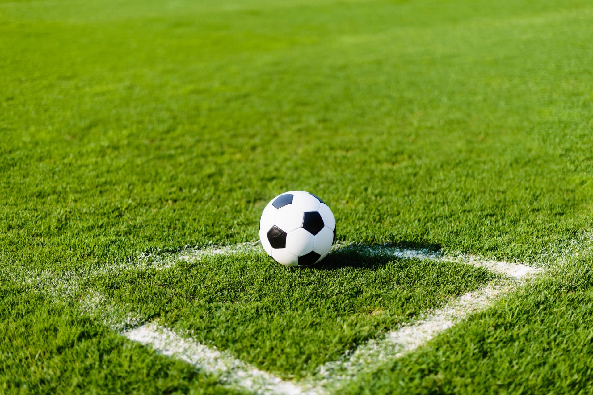 Labdarúgás: Bundesliga Weekly