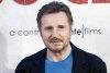 Liam Neeson profilképe