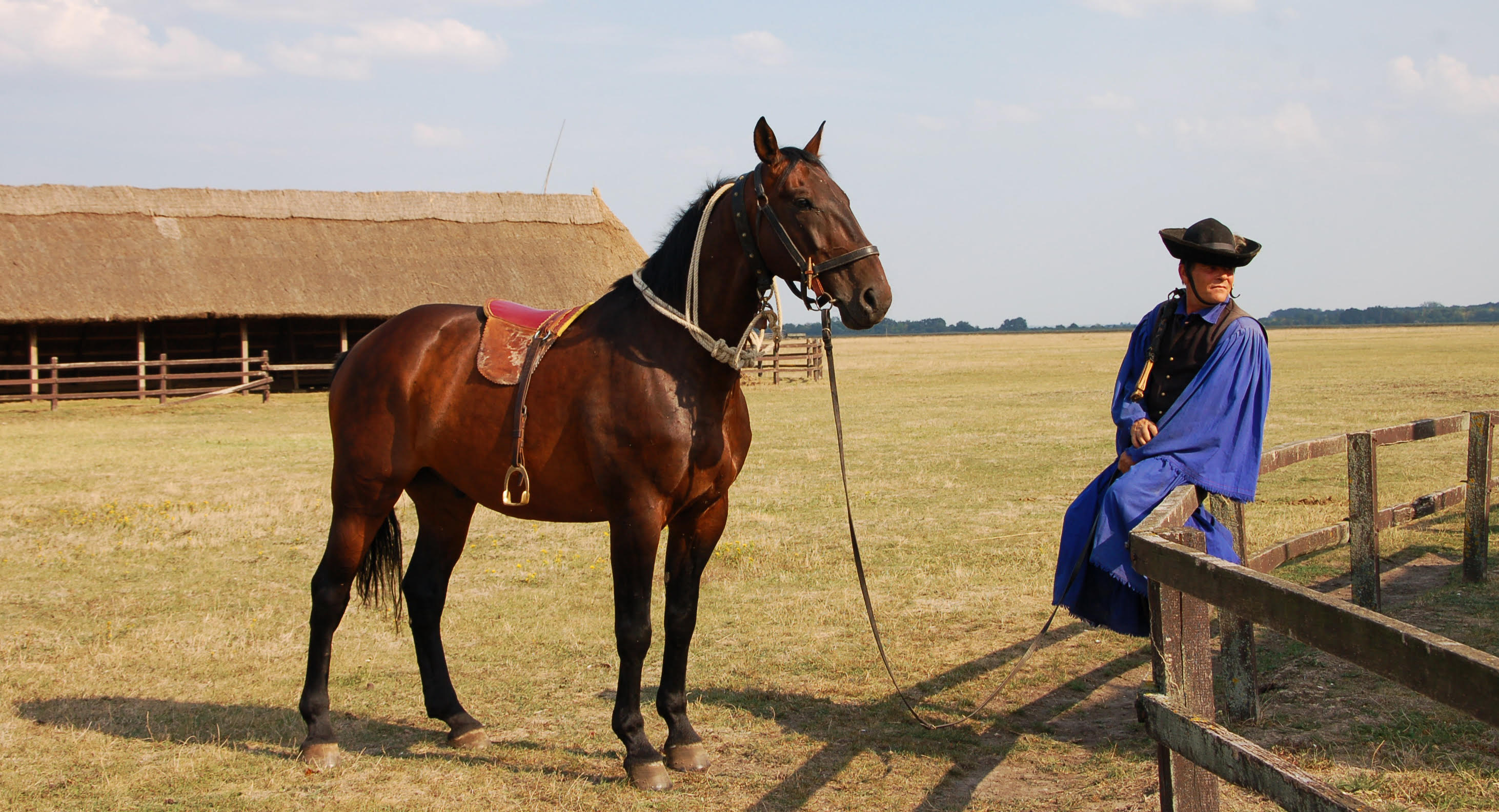 Hajszra és cselőre