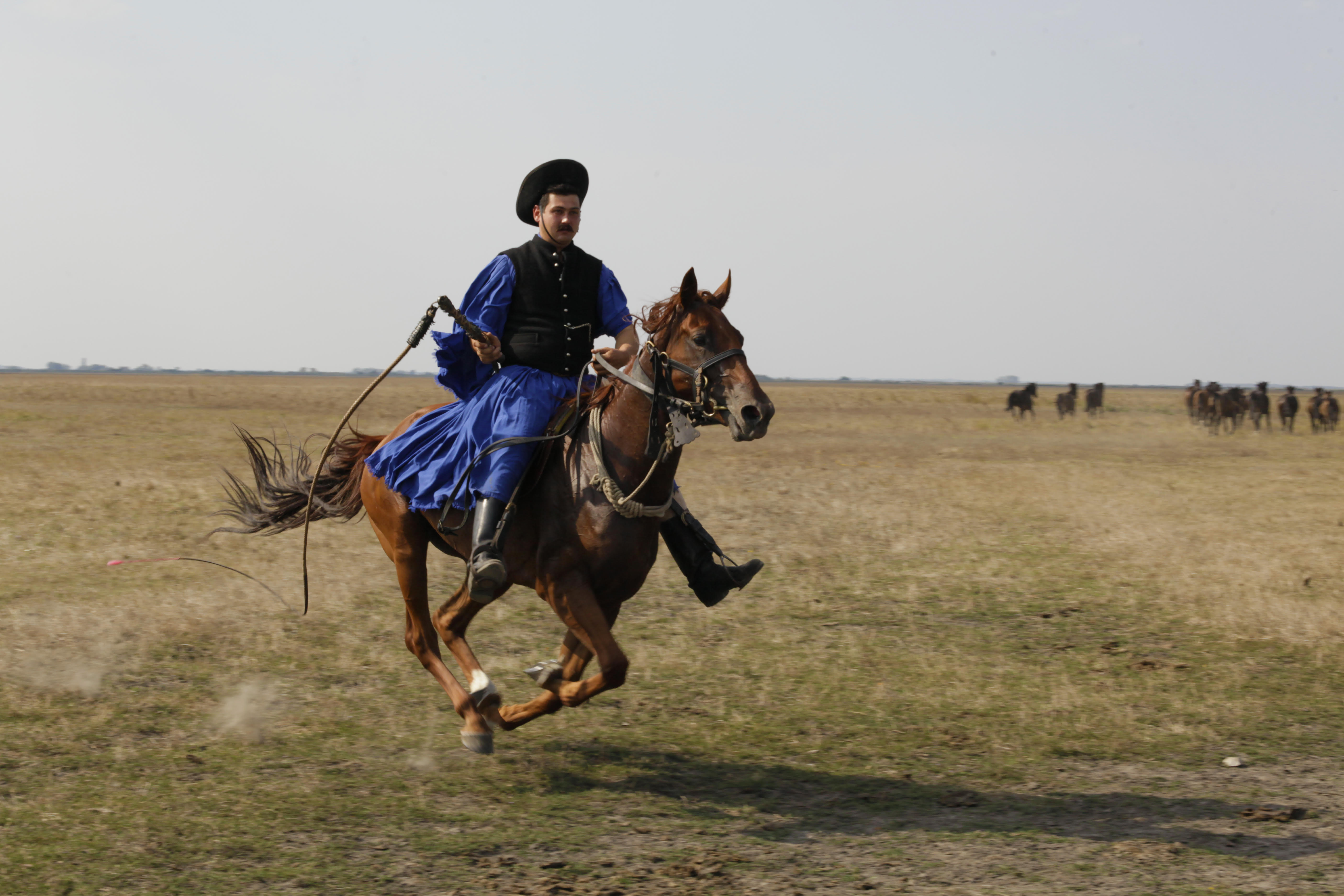 Hajszra és cselőre