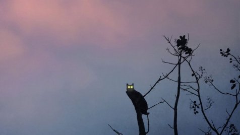 Saját filmje feljavított változatát készítette el Fliegauf Bence