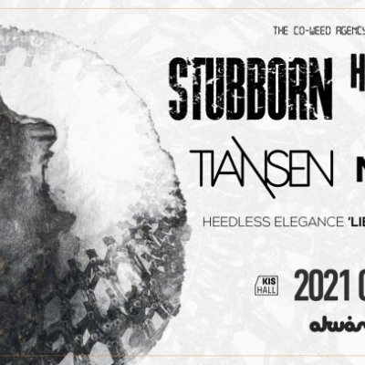 Stubborn | Heedless Elegance | Tiansen | Mirror