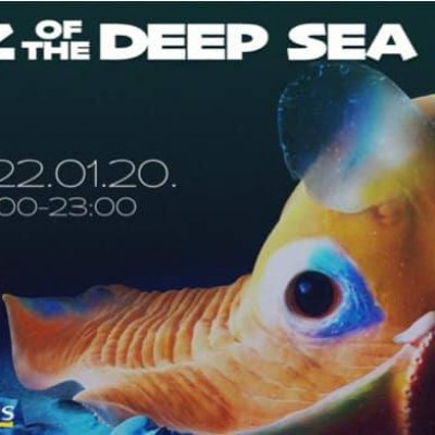 Chily Team: DubZ of the Deep Sea at Lámpás