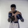 Muhammad Ali profilképe