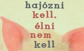 Egy mintafalu titkai
