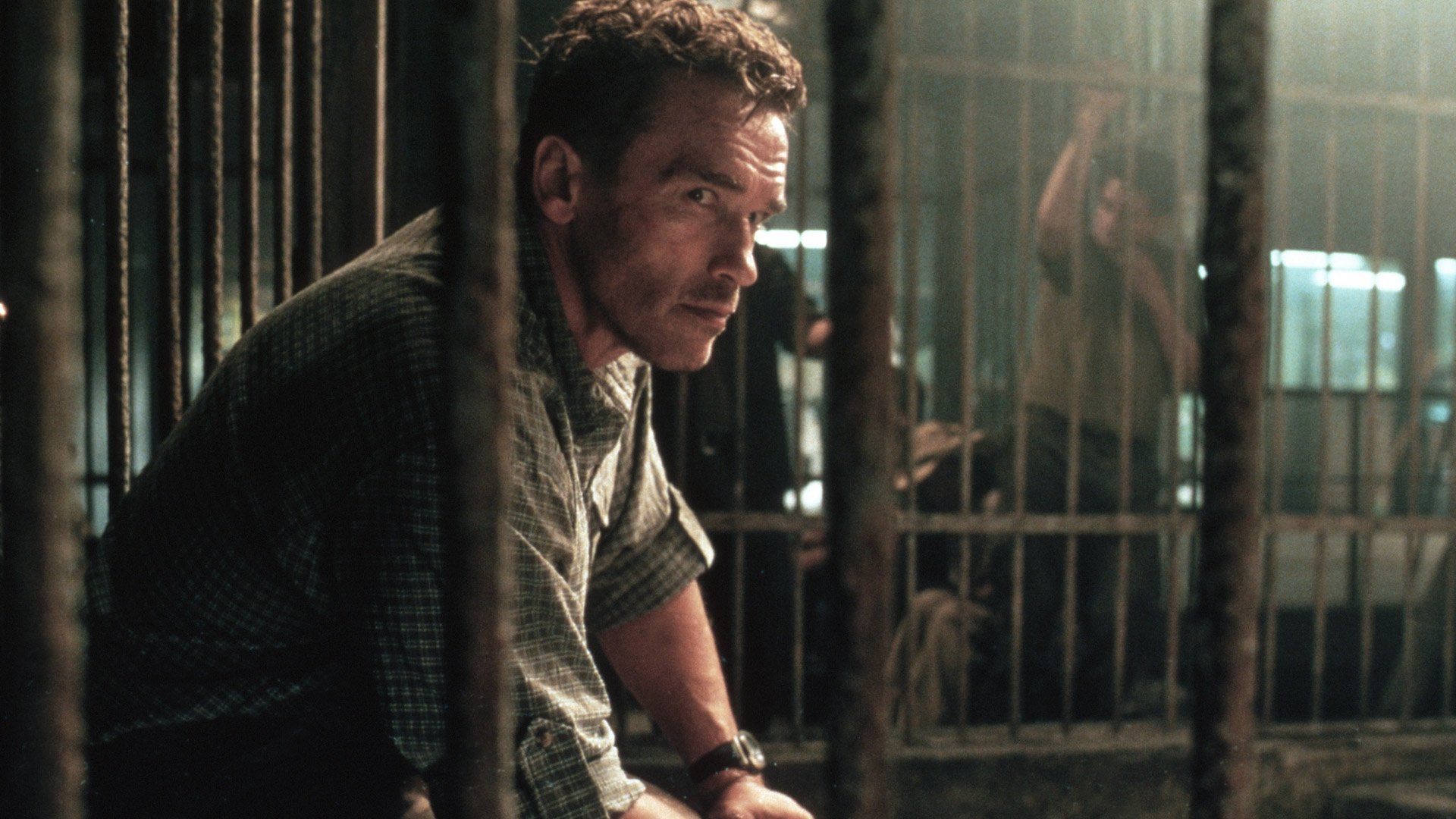 Az igazság nevében