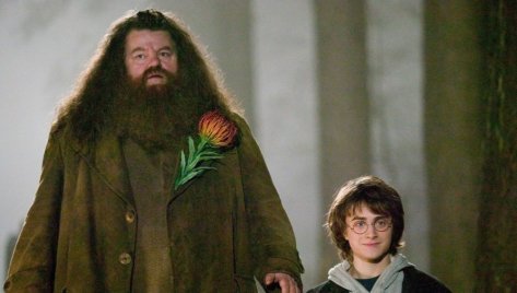Mennyire vagy profi Harry Potterből? – PORT.hu-kvíz