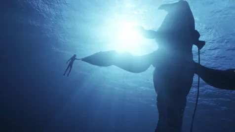 „Sose fogadj James Cameron ellen!” – befutottak az első vélemények az Avatar 2-ről