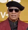 Stevie Wonder profilképe