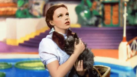 Színészek, akik iszonyúan szenvedtek, miközben szórakoztattak minket